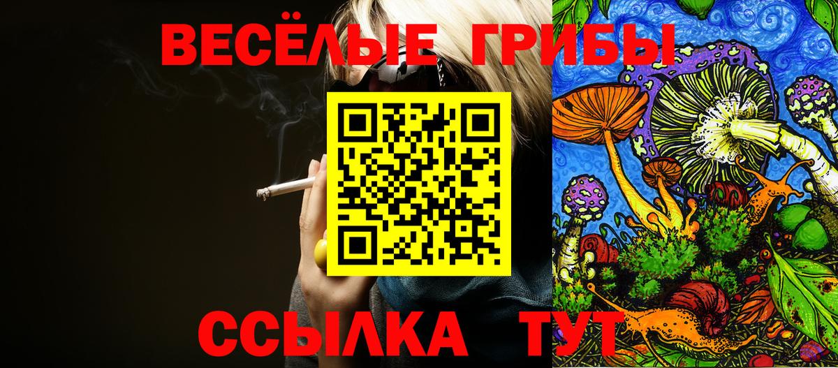 Псилоцибиновые грибы прущие грибы Хабаровск
