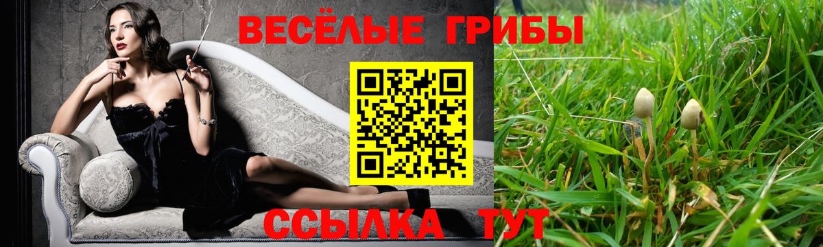 Галлюциногенные грибы ЛСД  Вход с VPN  Хабаровск  Галлюциногенные грибы Psilocybine cubensis 