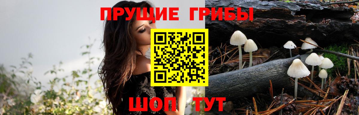 Псилоцибиновые грибы Magic Shrooms  даркнет сайт  Хабаровск 